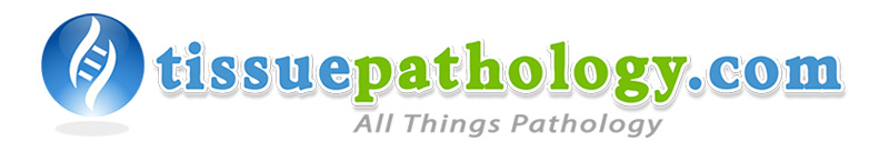 TissuePathology.com Logo